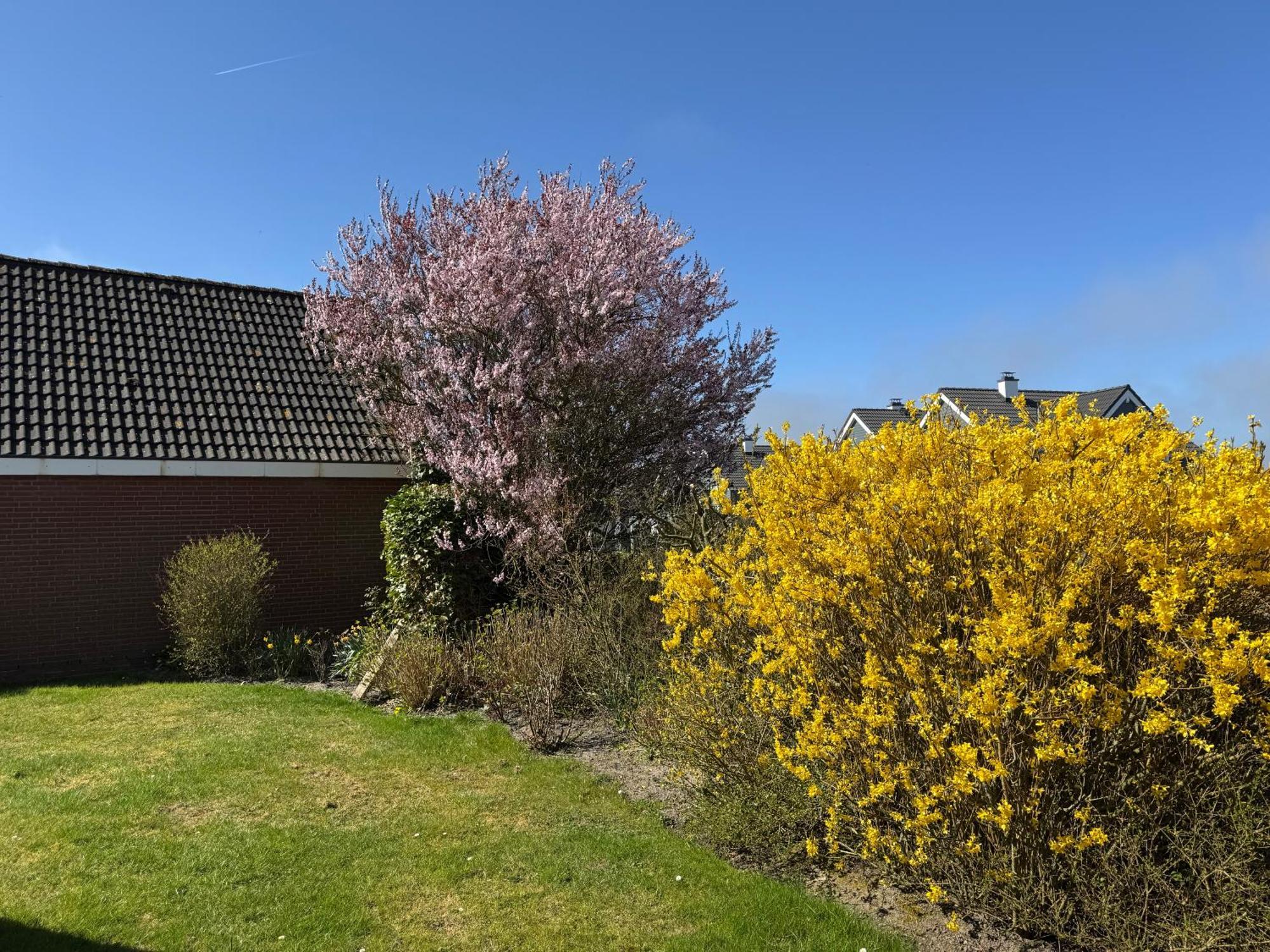 Haus Nordstrand Büsum Værelse billede