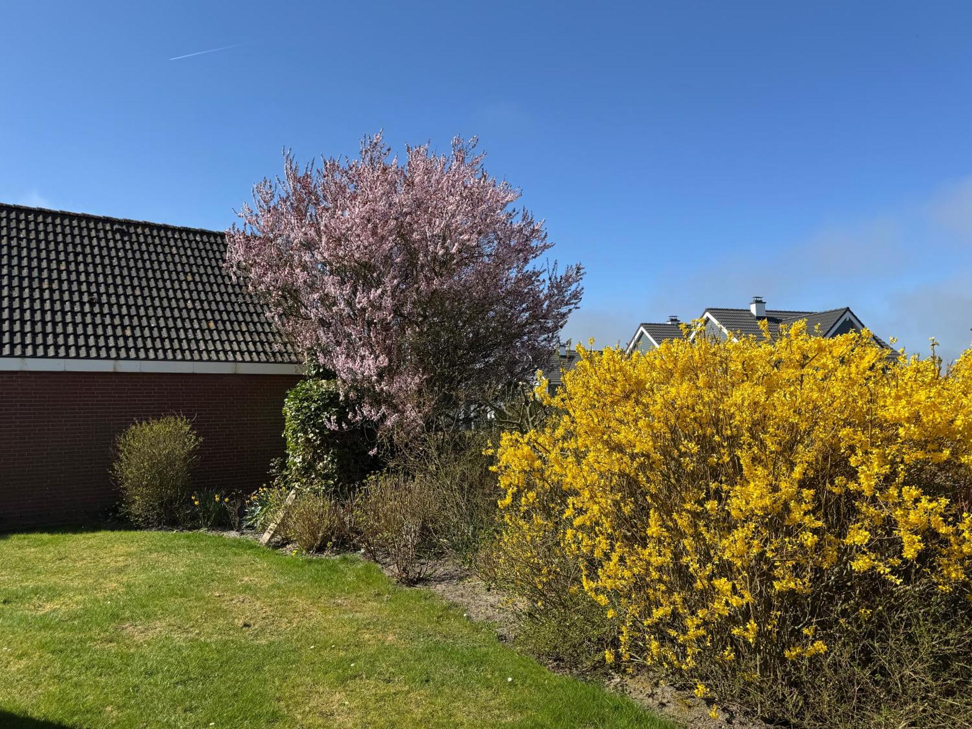 Haus Nordstrand Büsum Eksteriør billede
